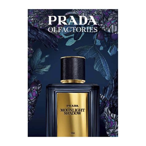 moon light prada|Prada Moonlight Shadow .